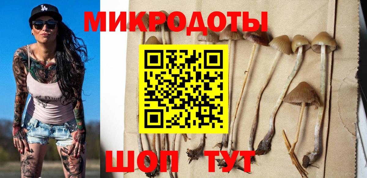 купить наркотики цена  Вход с VPN  Волгодонск  Галлюциногенные грибы Psilocybine cubensis 